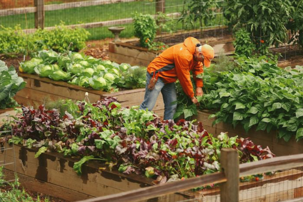 Raised Garden Bed in 5 Easy Steps